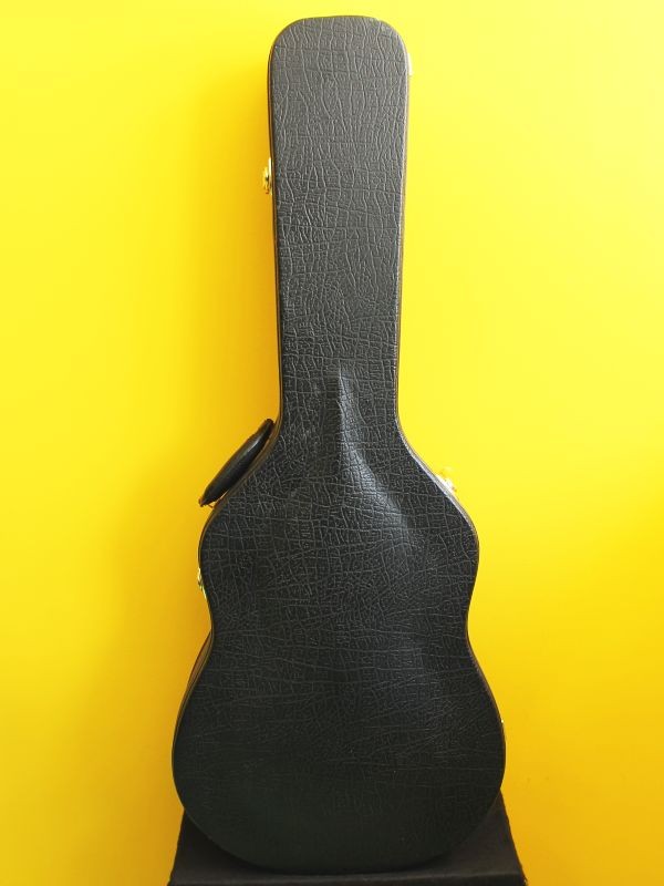 Classical Guitar Case